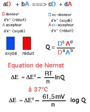 équation de Nernst