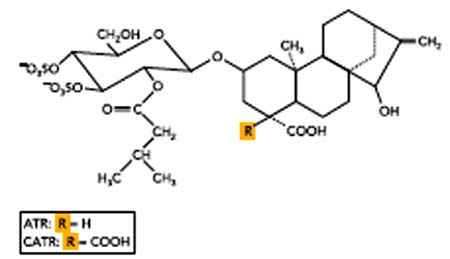 atractylosides