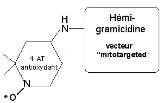 hémigramicidine