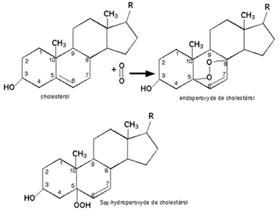 réaction de l'oxygène singulet avec le cholestérol