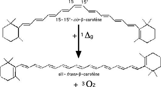 réaction du bétacarotène avec l'oxygène singulet