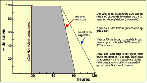 Chapitre 5 : Transport et stockage de l'oxygène