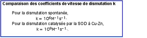 vitesse de dismutation de l'anion superoxyde