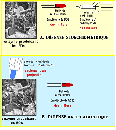 comparaison stoech anticatalytique