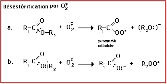 desesterification