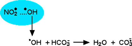 liberation d'hydroxyle 