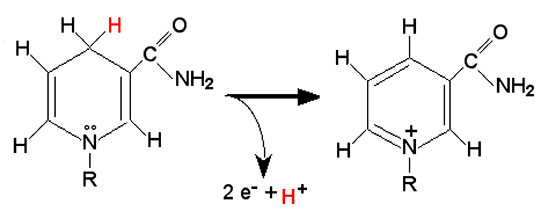 mecanismenox