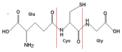 glutathion