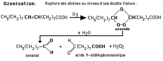 ozonisation