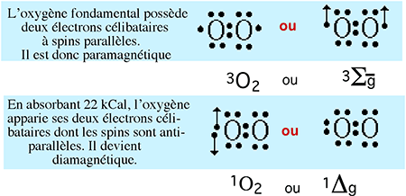 structure oxygene singulet