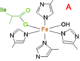 site actif de la lipoxygenase