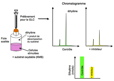 mesure de l'éthylène