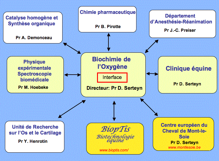 organigramme du cord